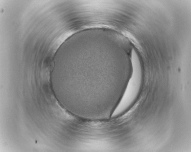 X0000088851177200706221653