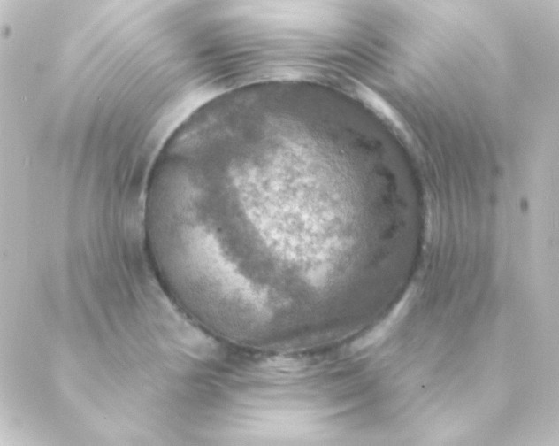 X0000088851178200706221653