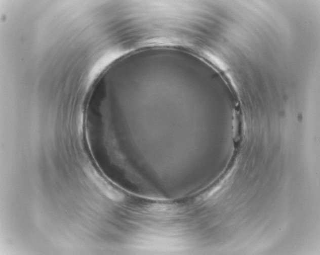 X0000088851179200706221653