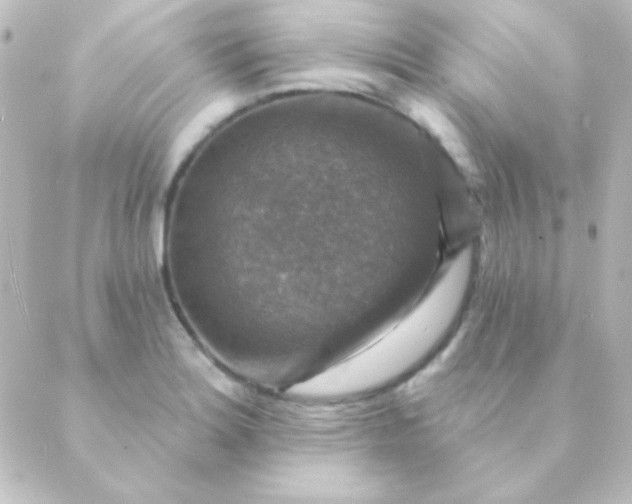 X0000088851180200706221653