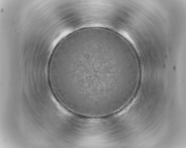 X0000088851181200706221653