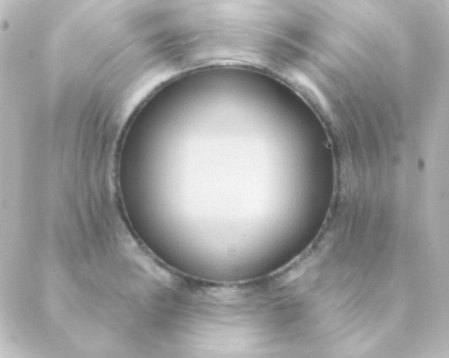 X0000088851182200706221653