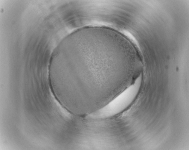 X0000088851183200706221653