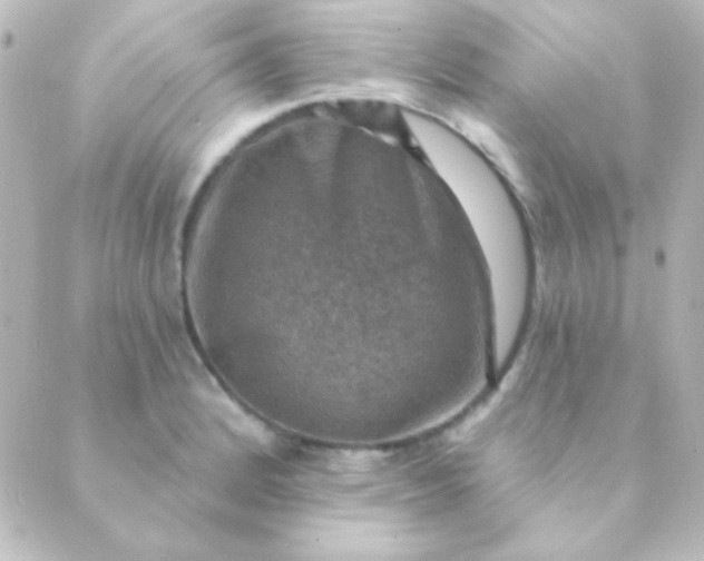 X0000088851184200706221652