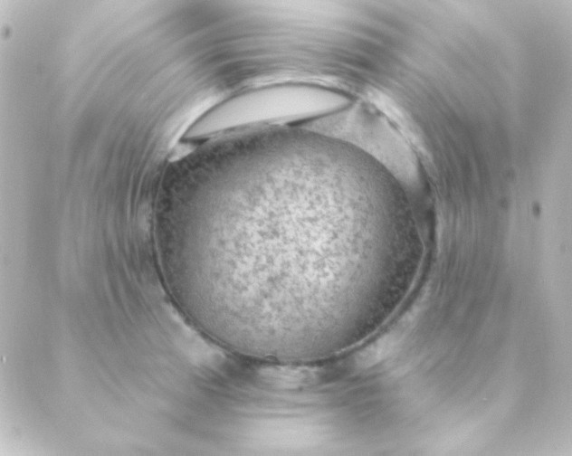 X0000088851185200706221652