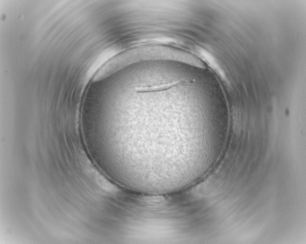 X0000088851186200706221652