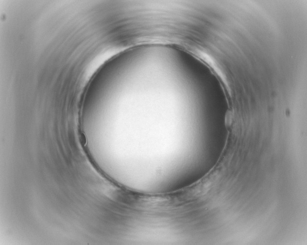 X0000088851187200706221652