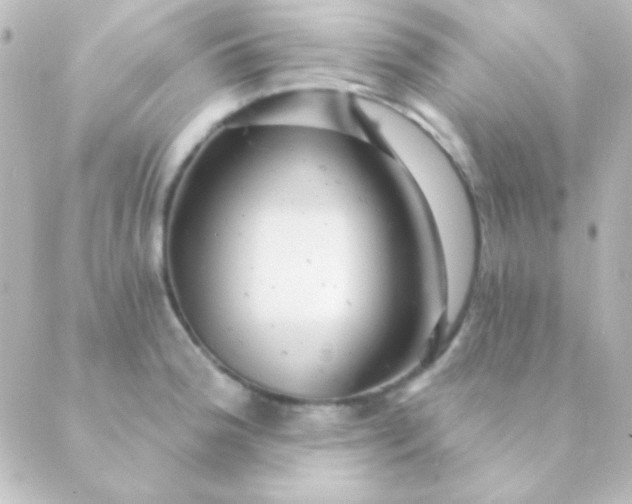 X0000088851188200706221652