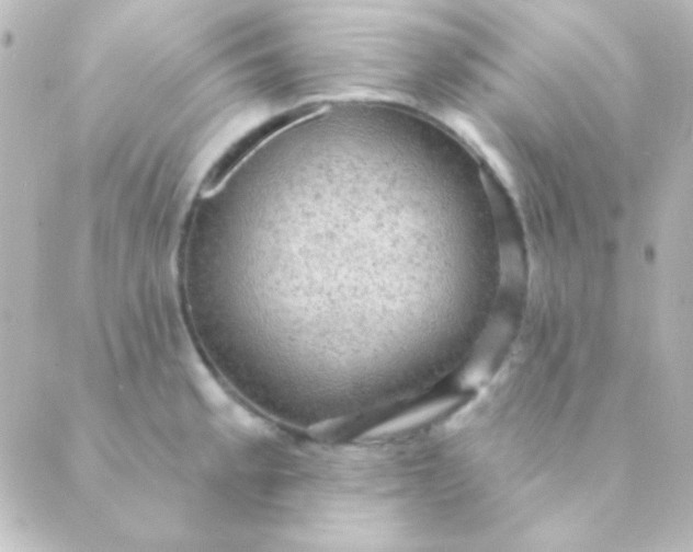 X0000088851189200706221652