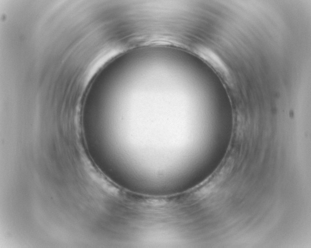 X0000088851190200706221652