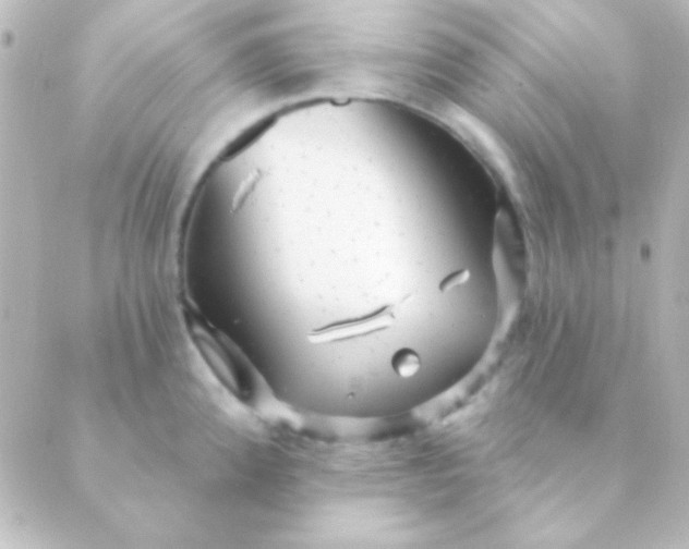 X0000088851192200706221652