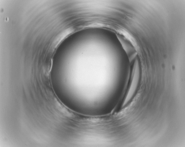 X0000088851193200706221652