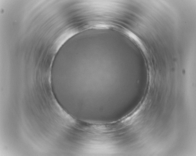 X0000088851194200706221652