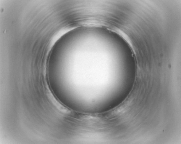 X0000088851195200706221652