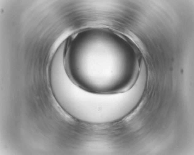 X0000088851196200706221652