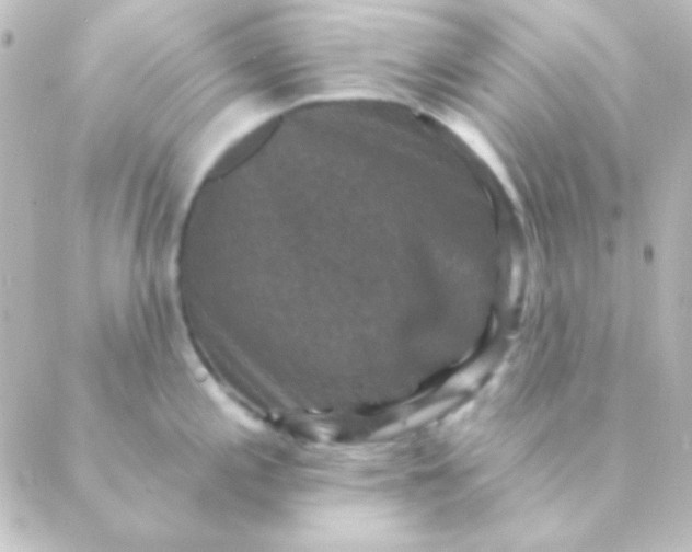 X0000088851197200706221652