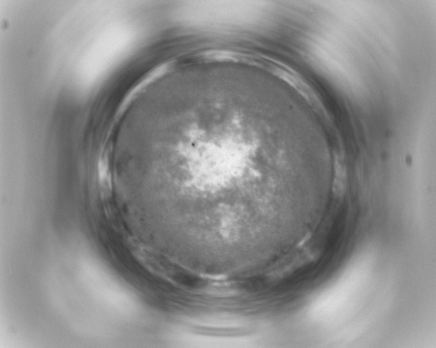 X0000088851198200706221652