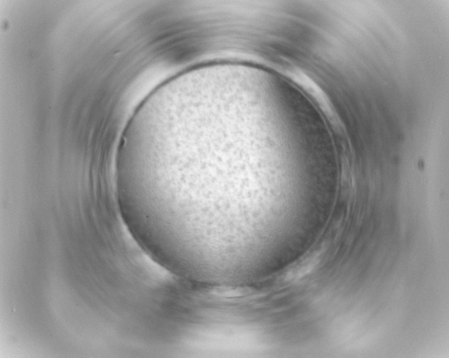 X0000088851199200706221652