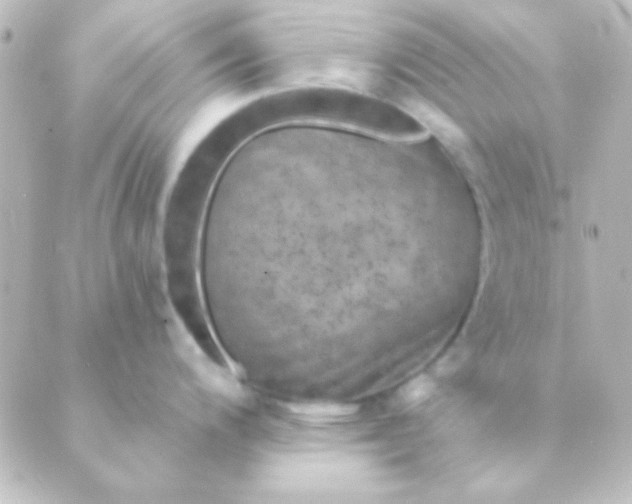 X0000088851200200706221652