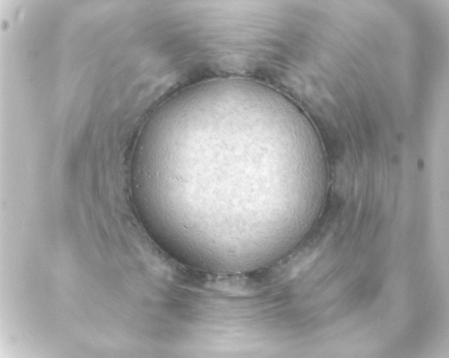 X0000088851201200706221651