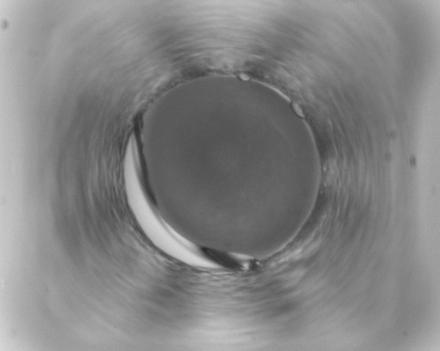 X0000088851202200706221651