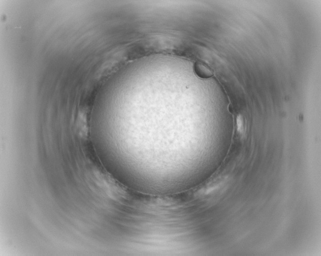 X0000088851203200706221651