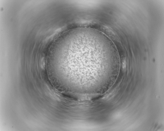 X0000088851204200706221652