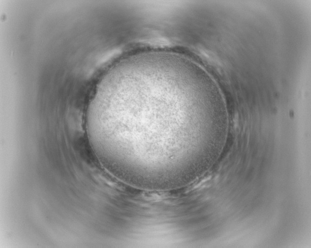 X0000088851205200706221652