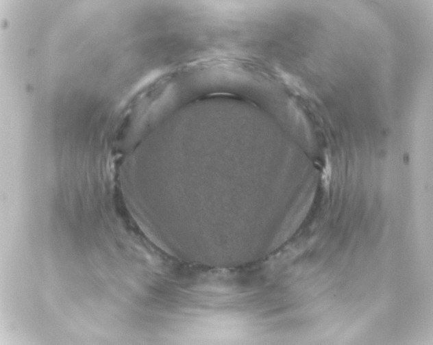 X0000088851206200706221652