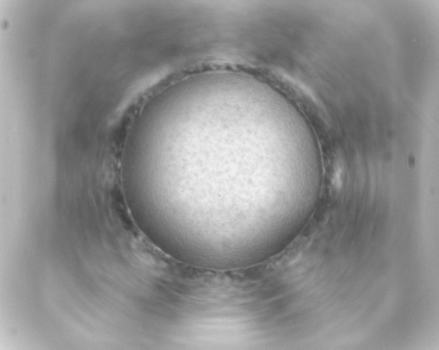 X0000088851207200706221652