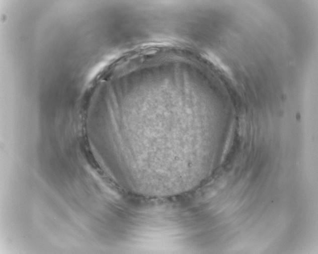 X0000088851208200706221652