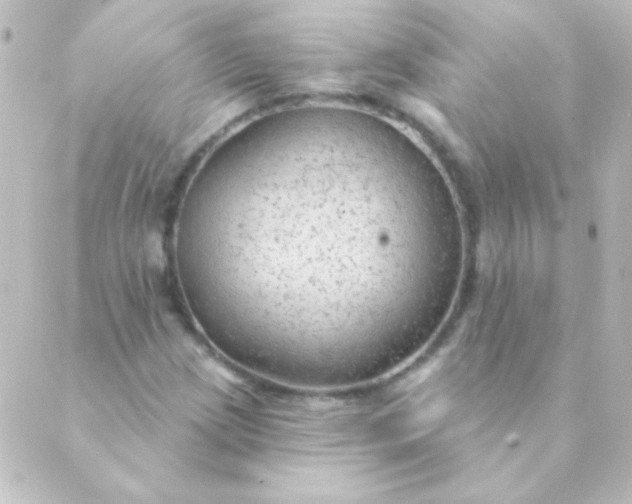 X0000088851209200706221652