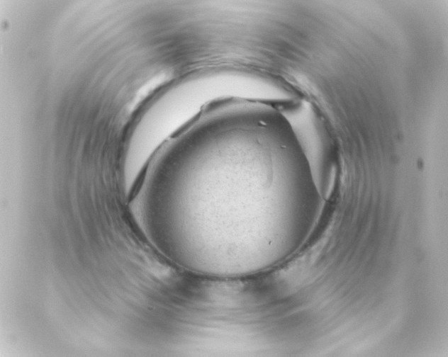 X0000088851210200706221652