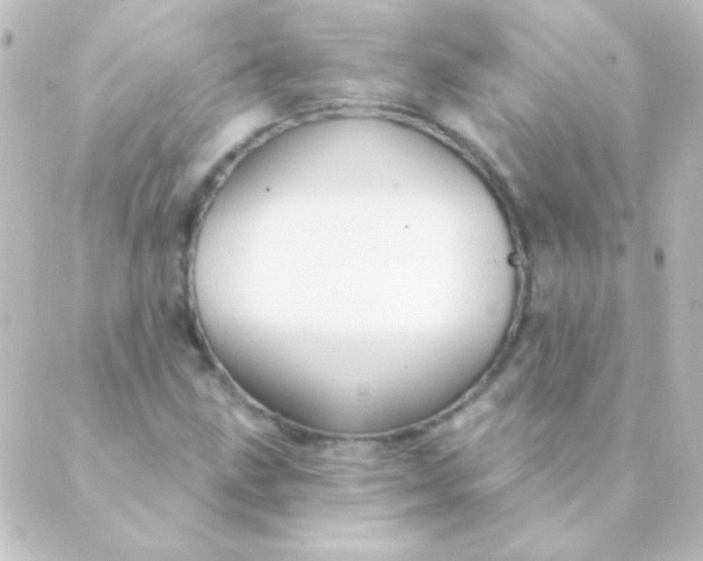 X0000088851211200706221652