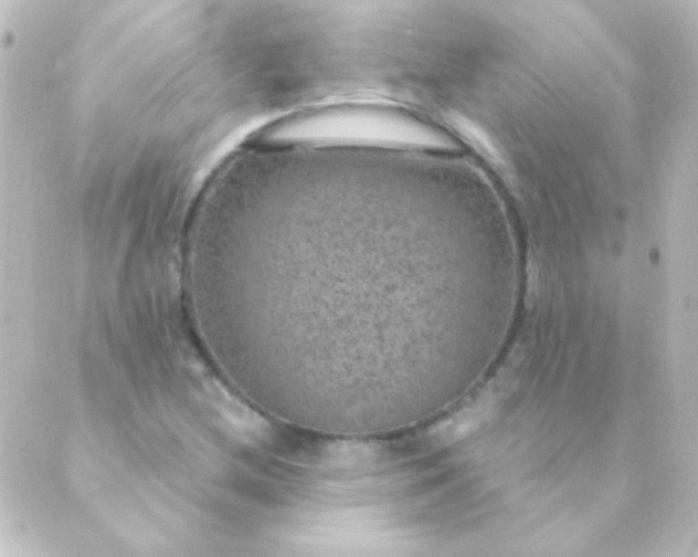 X0000088851212200706221652