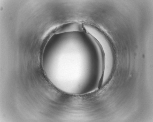 X0000088851214200706221652