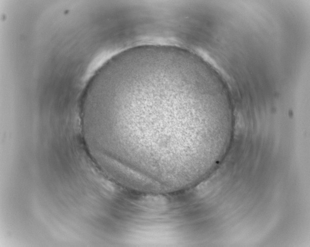 X0000088851215200706221652