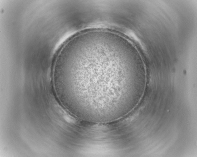 X0000088851216200706221652