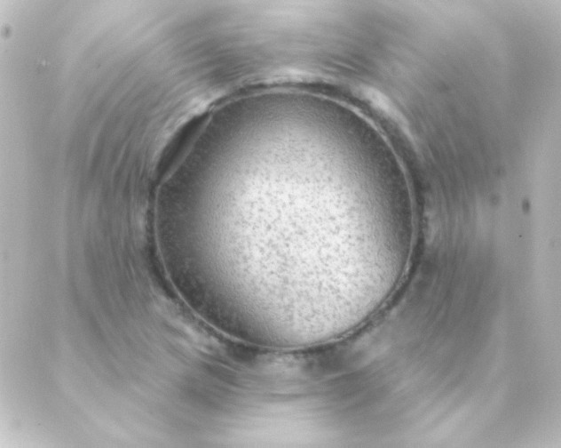 X0000088851217200706221652