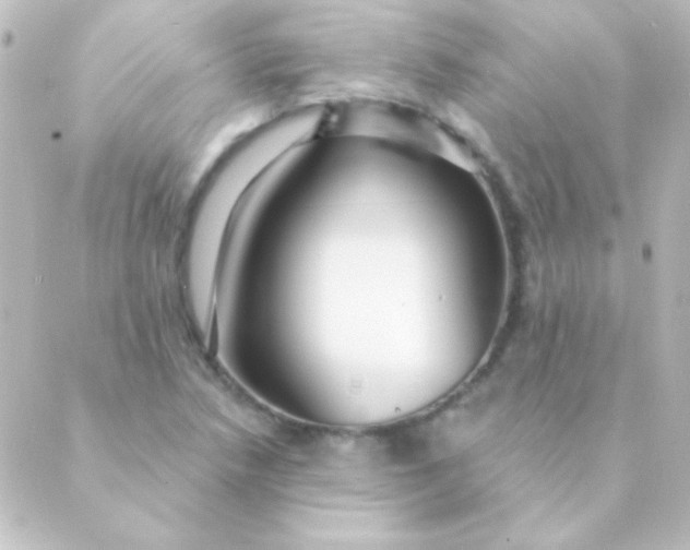 X0000088851218200706221652