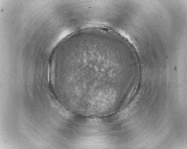 X0000088851219200706221652