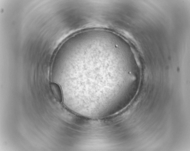 X0000088851220200706221652