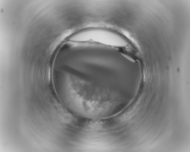 X0000088851221200706221652