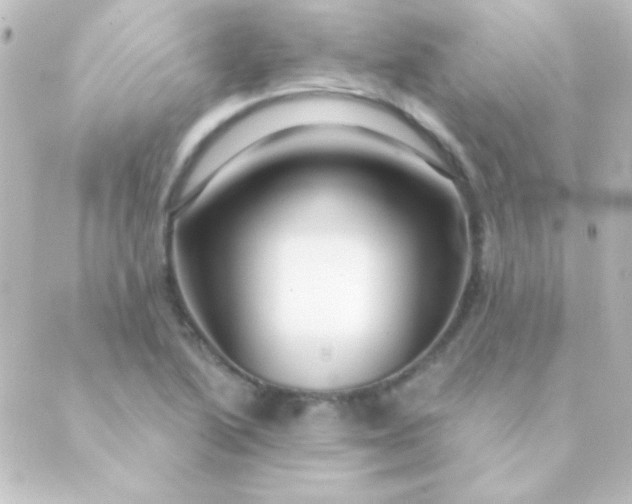 X0000088851222200706221652