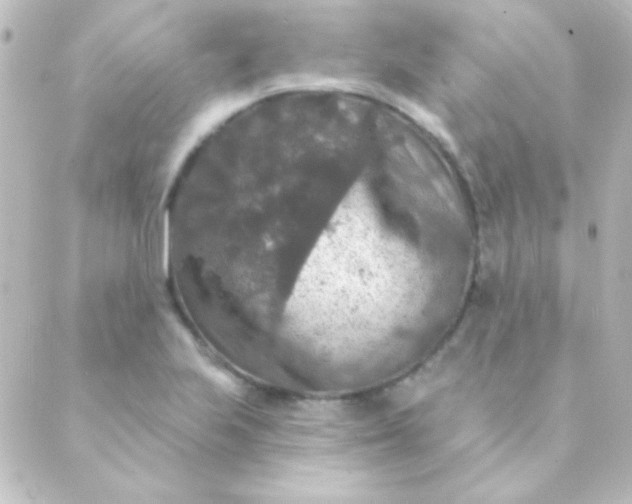 X0000088851223200706221652