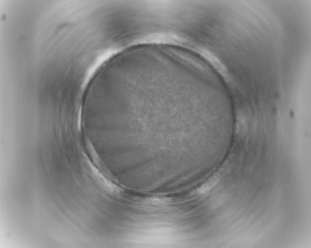 X0000088851224200706221652