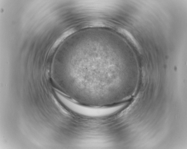 X0000088851225200706221652