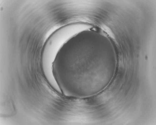 X0000088851226200706221652