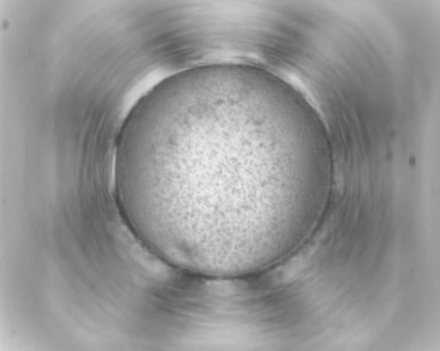 X0000088851227200706221652