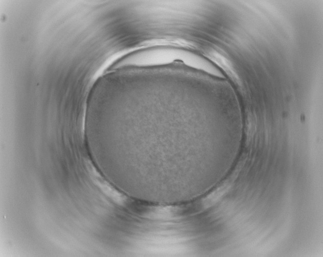 X0000088851228200706221652